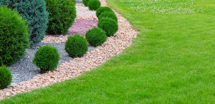 curved stone and gravel garden edging separating a bed of round shrubs from the lawn