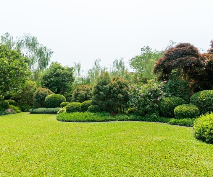 well maintained lawn, grass with fertilizers, gorgeous landscaping of the shrubs and trees