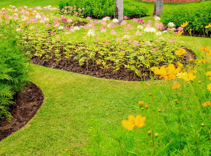 beautiful landscape of flower beds, shrubs and well maintained lawn
