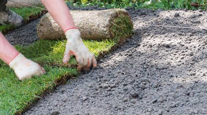 closeup of gardener laying sod grass, repairing the lawn