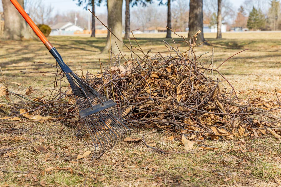 pile of tree branches and leaf, rake in the yard, lawn cleaning