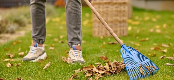 no face, male legs in gray jeans and sneakers on the green lawn and raking yellow leaves in the garden