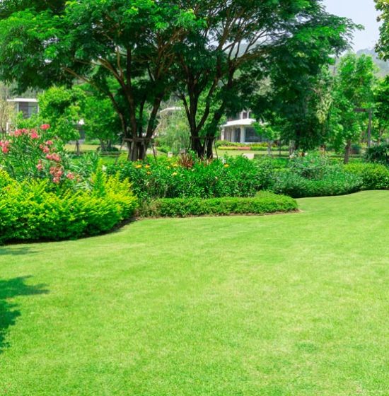 gorgeous landscape of a community park with trees, flower beds and mowed grass