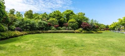 a beautifully maintained park, mowed grass, and landscape of tree shrubs