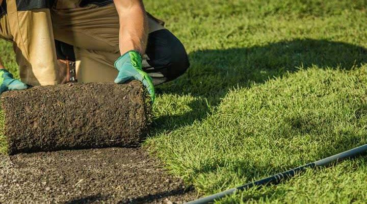 closeup of gardener laying sod grass in the front lawn