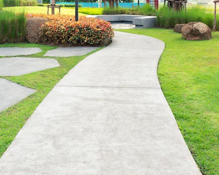 walkway in the garden, concrete pavement floor, natural pland, lawn and grass