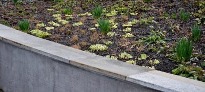 retaining wall at the park, flowerbed planted with granite paving benches along the wall